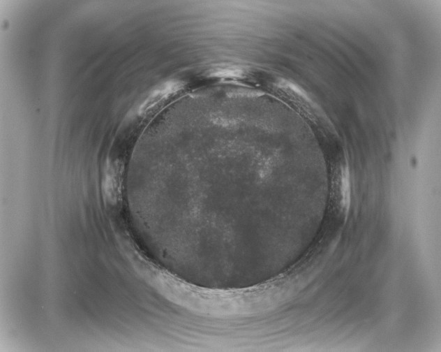 X0000087520030200705041224