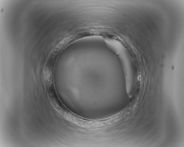 X0000087520031200705041224