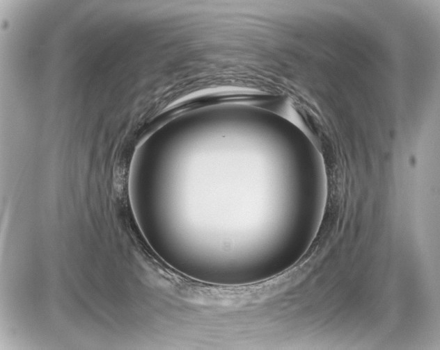 X0000087520033200705041224