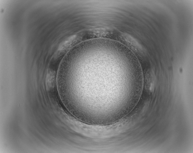 X0000087520034200705041224