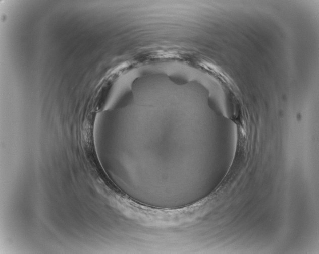 X0000087520035200705041224