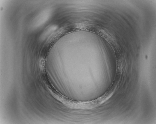 X0000087520036200705041224