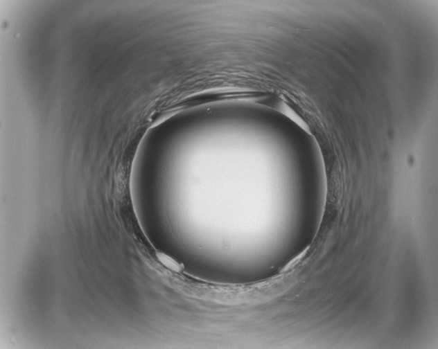 X0000087520037200705041223