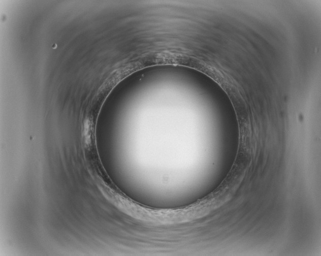 X0000087520038200705041223