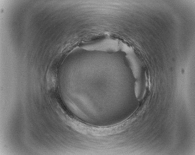 X0000087520039200705041223