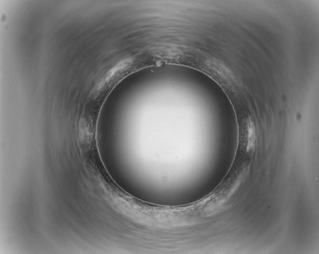 X0000087520040200705041223