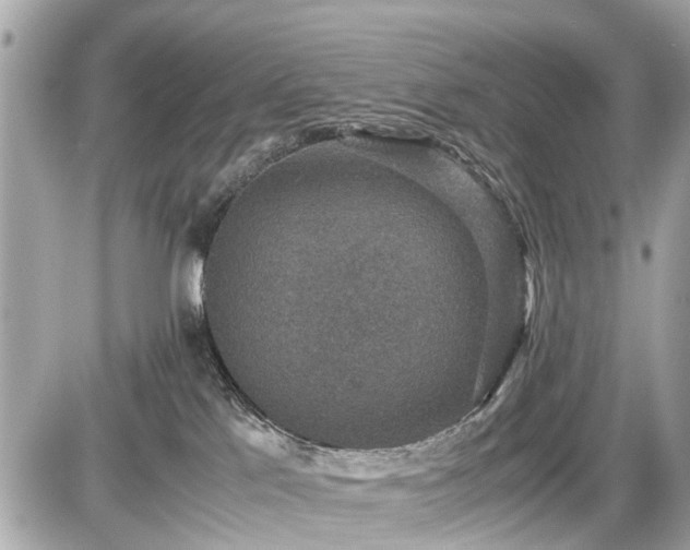 X0000087520041200705041223