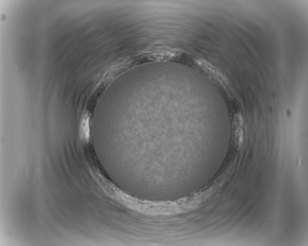 X0000087520042200705041223