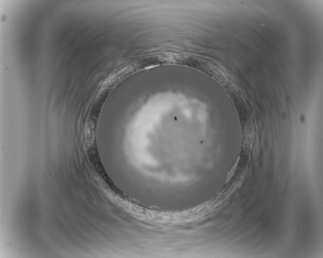 X0000087520043200705041223