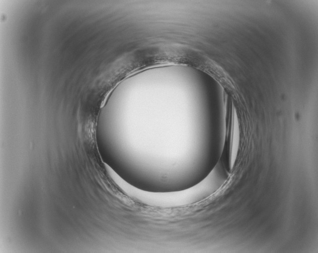 X0000087520045200705041223