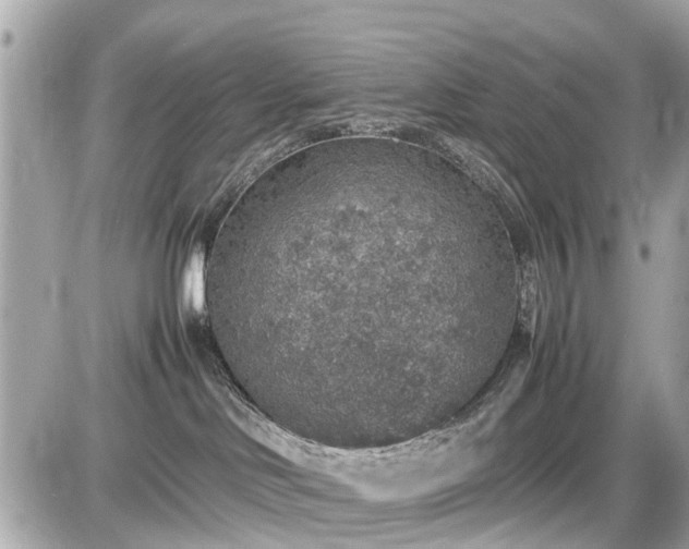 X0000087520046200705041223