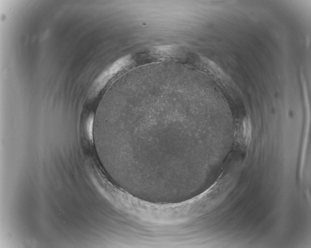 X0000087520047200705041223