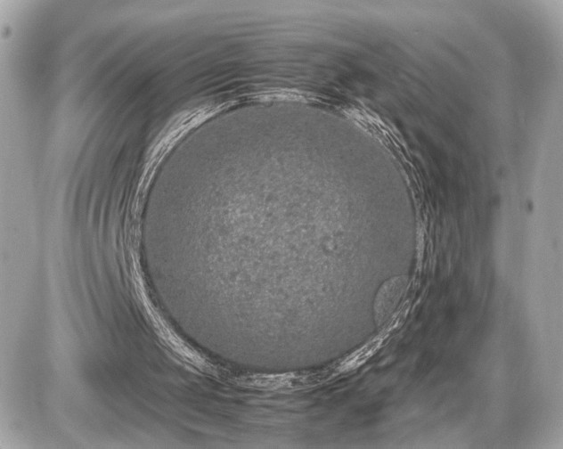 X0000087520049200705041223