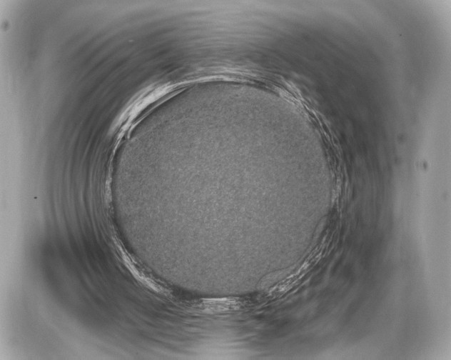 X0000087520050200705041223