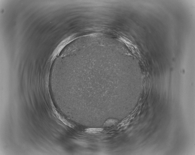 X0000087520051200705041223