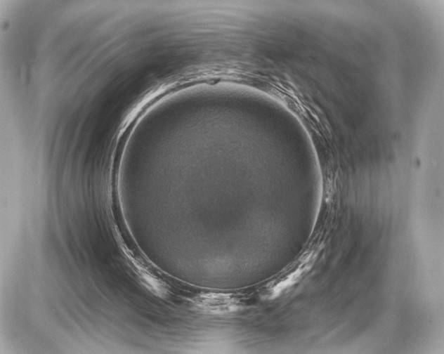 X0000087520052200705041223