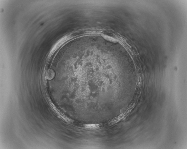 X0000087520053200705041223