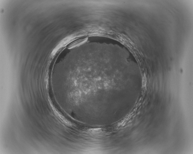 X0000087520054200705041223