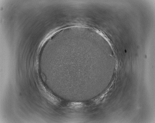 X0000087520055200705041223