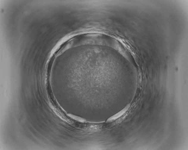 X0000087520056200705041223