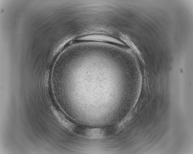 X0000087520058200705041223