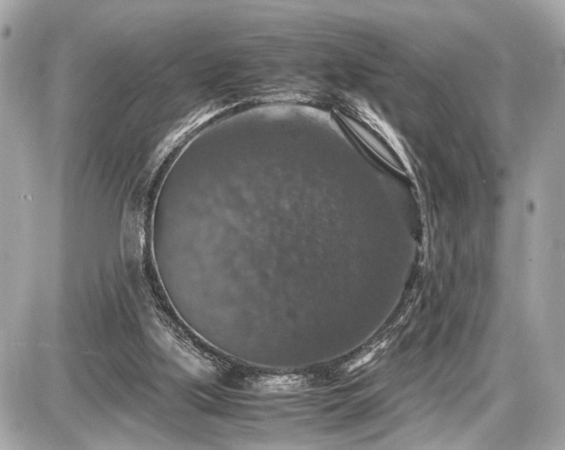 X0000087520059200705041223