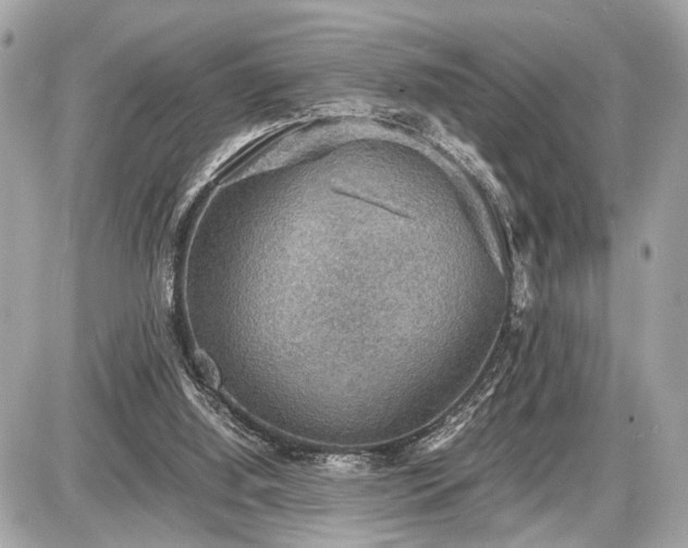 X0000087520060200705041223