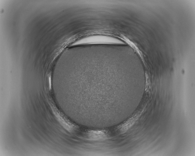 X0000087520061200705041223