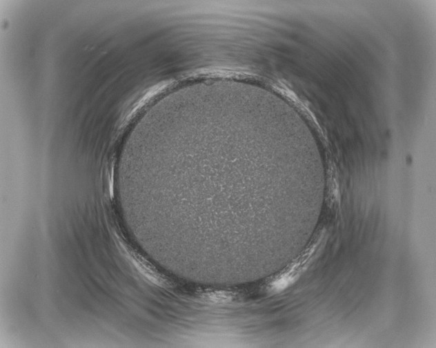 X0000087520062200705041223