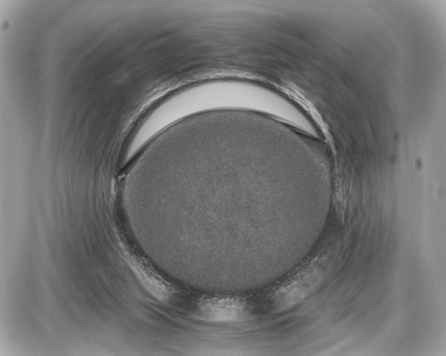 X0000087520063200705041223