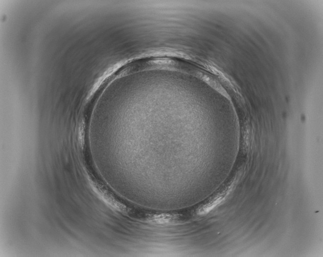 X0000087520064200705041223