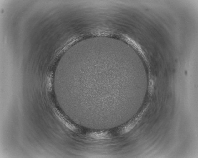 X0000087520065200705041223