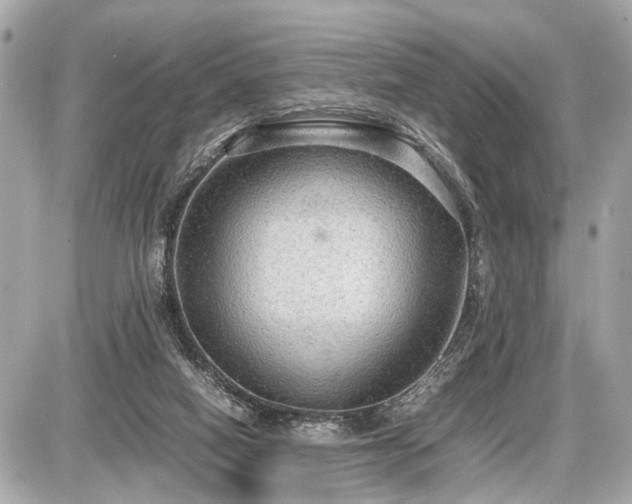 X0000087520066200705041223