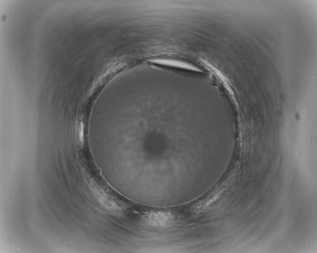 X0000087520067200705041223