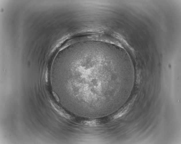 X0000087520068200705041223