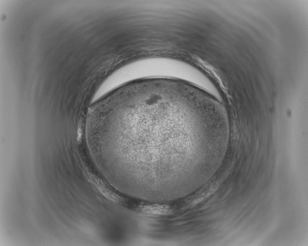 X0000087520069200705041223