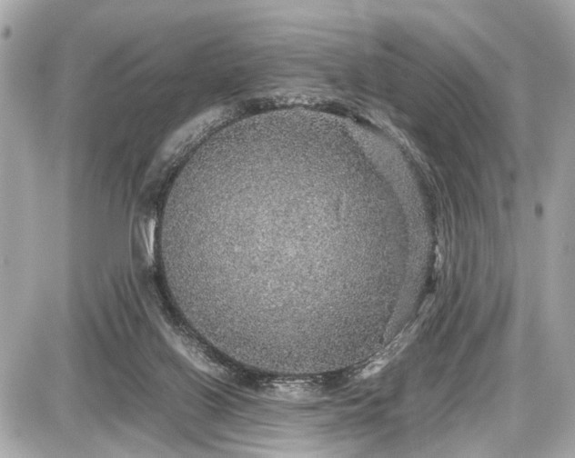 X0000087520070200705041223