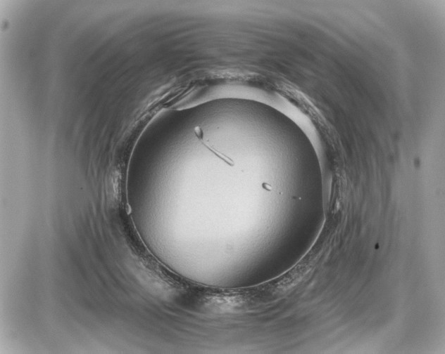 X0000087520071200705041223