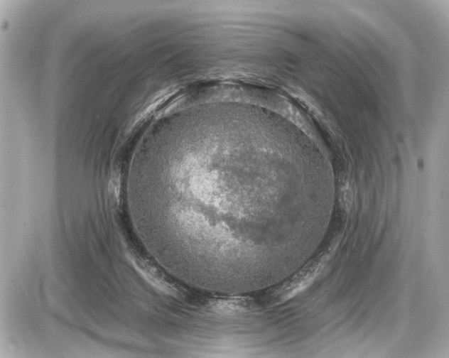 X0000087520072200705041223