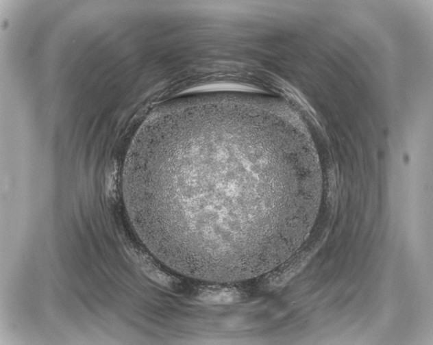 X0000087520073200705041223