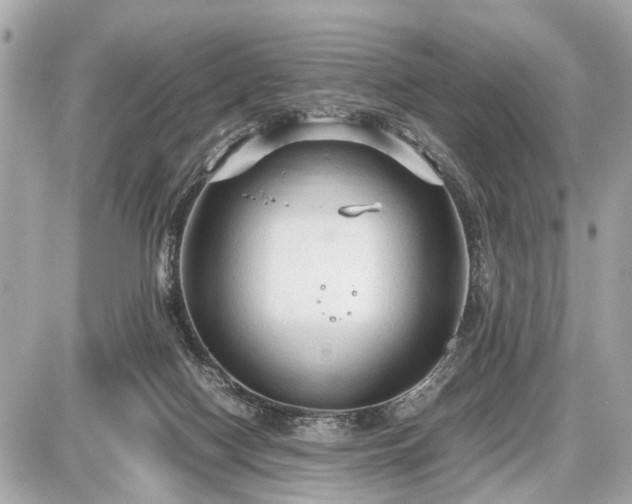 X0000087520074200705041223