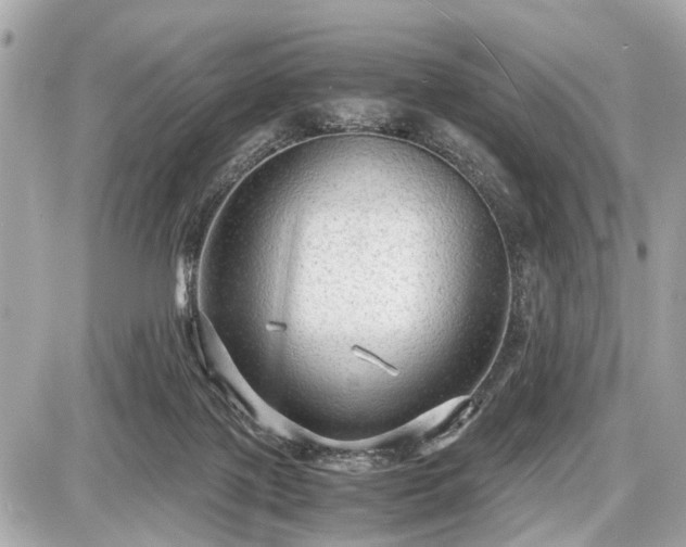 X0000087520075200705041223