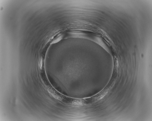 X0000087520076200705041223