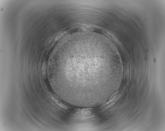 X0000087520078200705041223