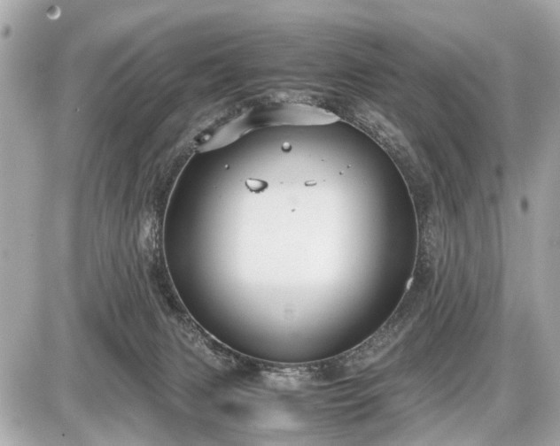 X0000087520079200705041223