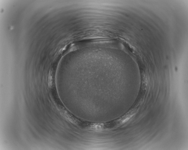 X0000087520080200705041223