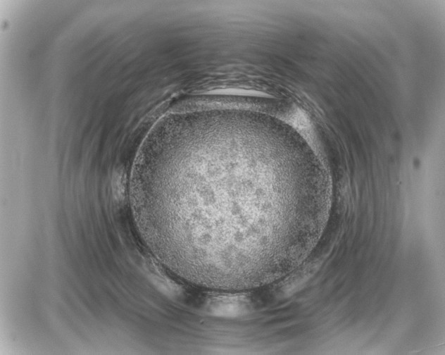 X0000087520081200705041223