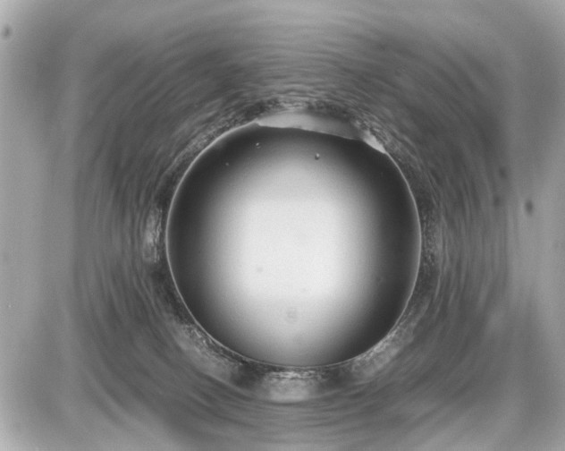 X0000087520082200705041223