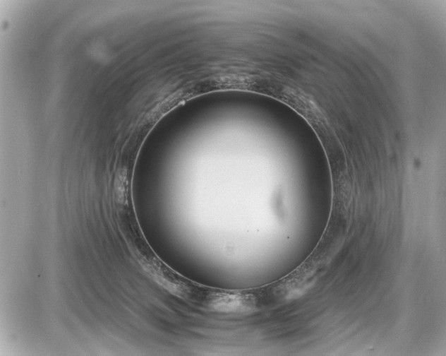 X0000087520083200705041223