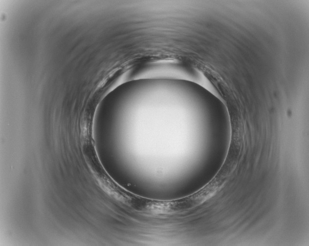 X0000087520084200705041223